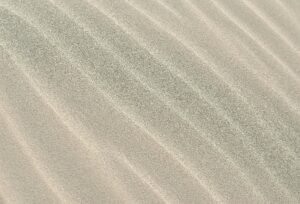 Texture Paint