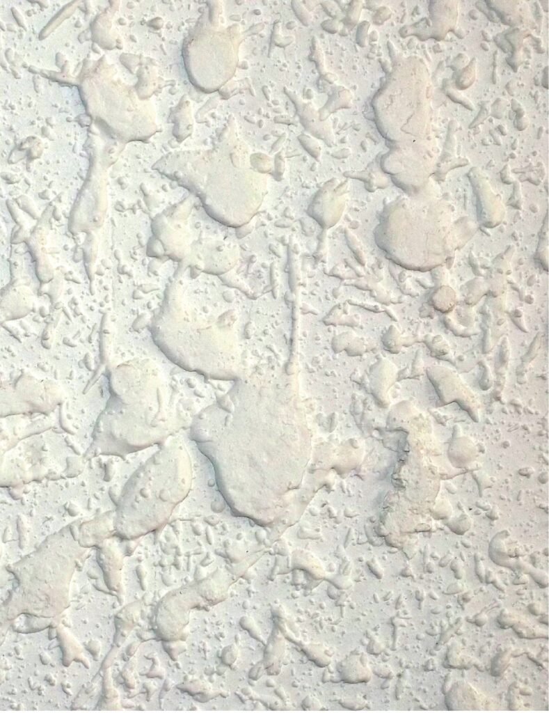 mithila paints